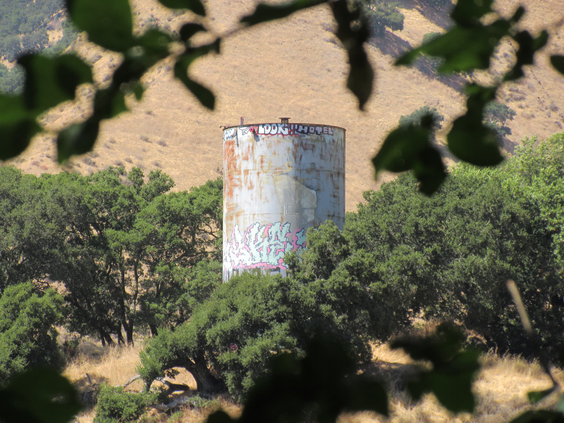 A graffiti-covered cylindrical tank among trees and dry hills, framed by leaves.
