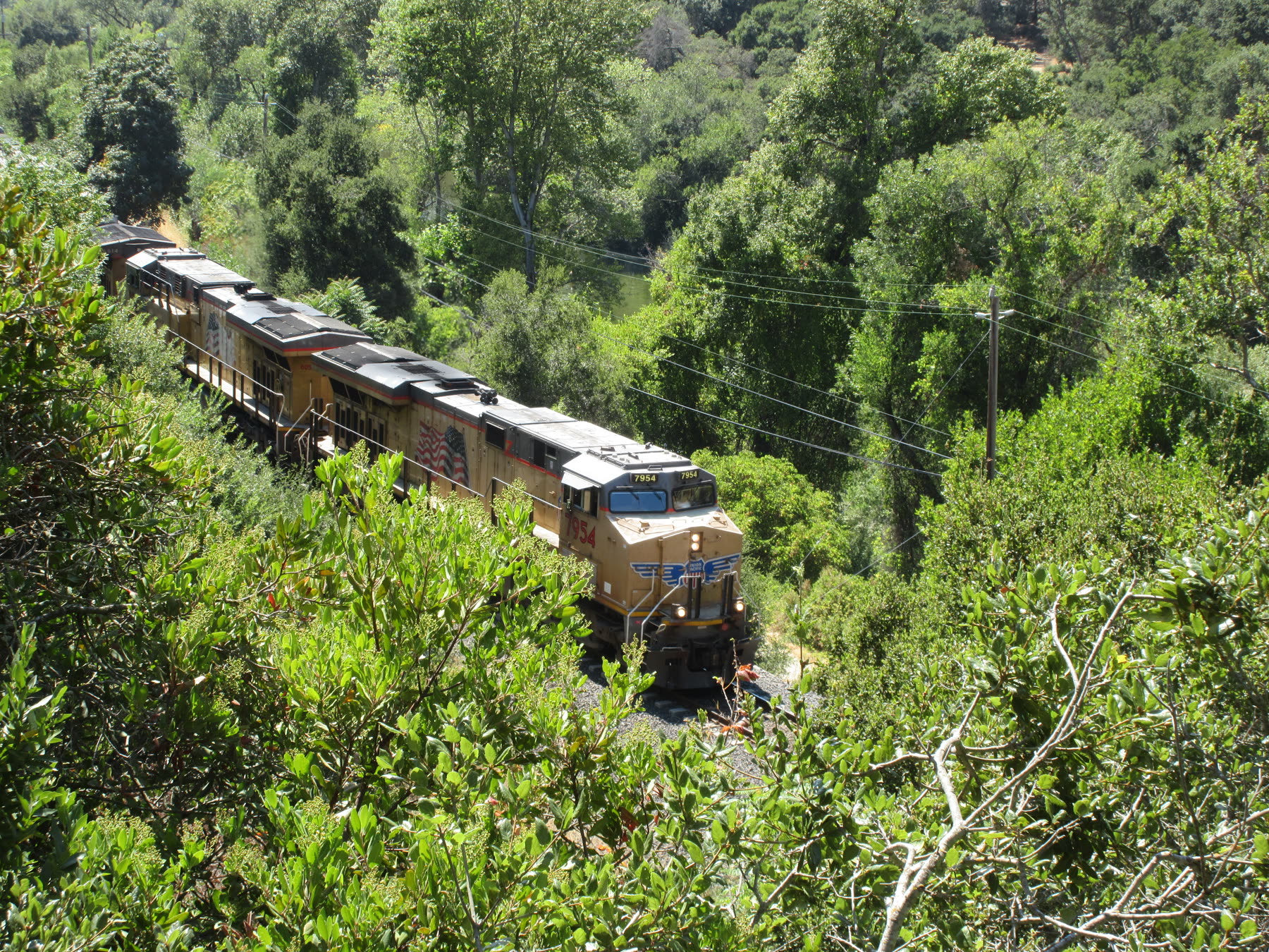 A Union Pacific locomotive moving through dense green trees.