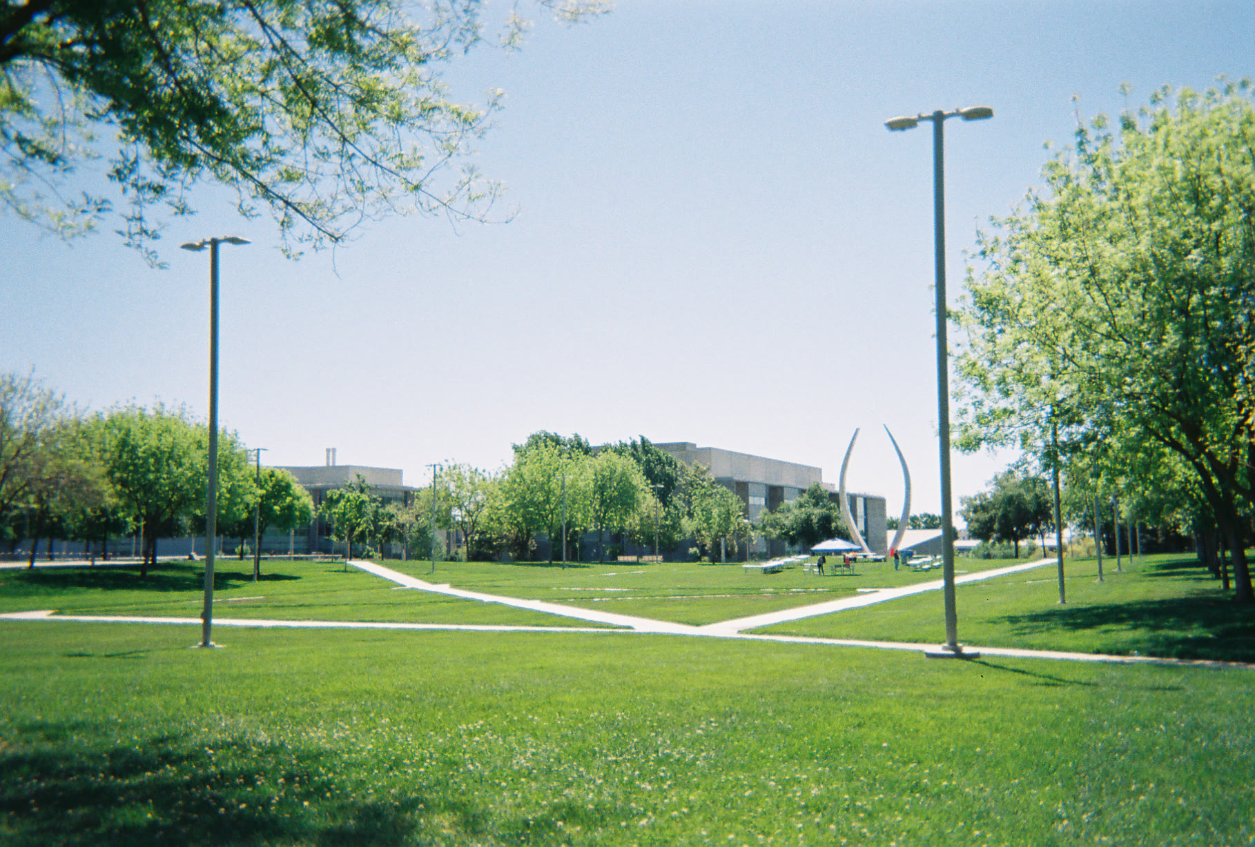 Film photograph of a green campus lawn, trees, paths, and a tall sculpture.